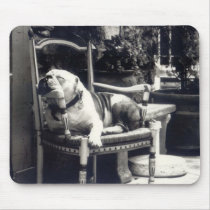 Sleeping Dog mousepads