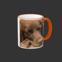 Sleeping Dog mugs