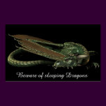 Sleeping Dragon
