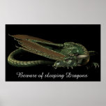 Sleeping Dragon Print