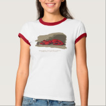 Sleeping Dragon t-shirts by pyromancy Sleeping Dragon t-shirts