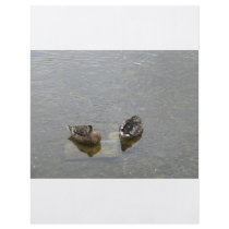 Sleeping Ducks flyers by A_Phoenix Sleeping Ducks flyers