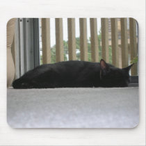 Sleeping Fiona Mouse Mats
