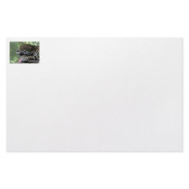 Sleeping Florida jaguar , light green frond back Stationery Design