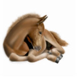Sleeping Foal Holiday Ornament Photo Cutouts