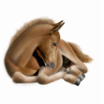Sleeping Foal Holiday Ornament photo sculptures by twopurringcats Sleeping Foal Holiday Ornament photo sculptures