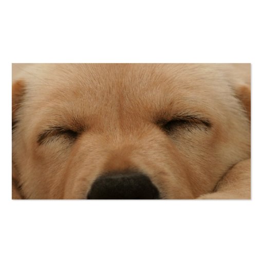 Sleeping Golden Retriever  Business Card (back side)