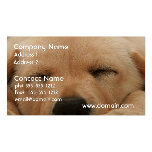 Sleeping Golden Retriever  Business Card (front side)