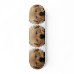 Sleeping Golden Retriever Skateboard