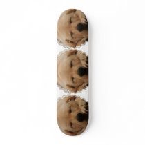 Sleeping Golden Retriever Skateboard