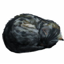 Sleeping Grey Cat Magnet photo sculptures