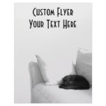 Sleeping Grey Cat on White Sofa flyers