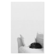 Sleeping Grey Cat on White Sofa Stationery