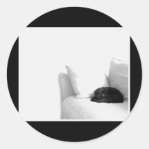 Sleeping Grey Cat on White Sofa Sticker