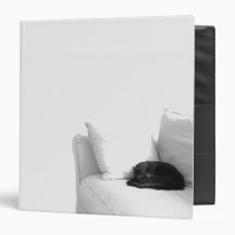 Sleeping Grey Cat on White Sofa Vinyl Binder