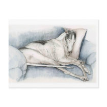 Sleeping Greyhound Dog Art Poscard postcards by CharlottesWebArt Sleeping Greyhound Dog Art Poscard postcards