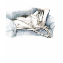 "Sleeping Greyhound" Dog Art T Shirt by CharlottesWebArt "Sleeping Greyhound" Dog Art T Shirt