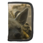 Sleeping Hyena Wallet Folio Organizers
