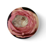 Sleeping in a Pale Pink Rose, Chinese Shar Pei Dog buttons