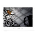 Sleeping In posters by boundless Sleeping In posters