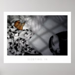 Sleeping In Print