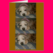 sleeping in seattle cards