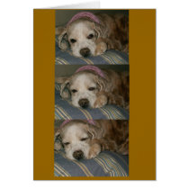 sleeping in seattle cards by holycrocodile sleeping in seattle cards