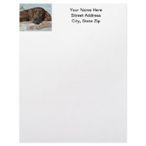 Sleeping Irish Setter Customized Letterhead
