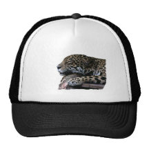 Sleeping Jaguar no background Mesh Hat