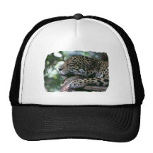 Sleeping jaguar with leafy background trucker hat