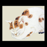 Sleeping Japanese Cat Art Poster Print posters