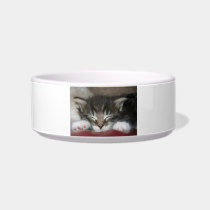 Sleeping Kitten Cat Pet Bowl Cat Water Bowls