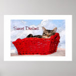 Sleeping Kitten In Bright Red Basket Posters