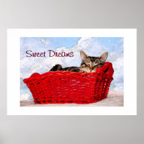 Sleeping Kitten In Bright Red Basket Posters