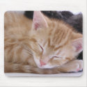 Sleeping Kitten mousepads