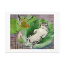 sleeping kitten postcards