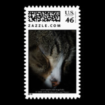 Sleeping Kitten Stamp