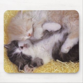 Sleeping Kittens mousepad