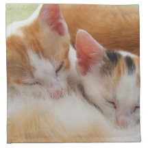 Sleeping Kittens Napkins
