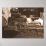 Sleeping kitties posters