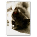 Sleeping Kitty cards by miapple1963 Sleeping Kitty cards