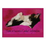 Sleeping Kitty in Pink Business Card business cards