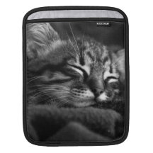 Sleeping kitty iPad sleeves