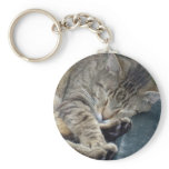 Sleeping Kitty Keychain