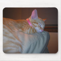 Sleeping Kitty mousepads