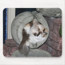 Sleeping Kitty mousepads by screwballgraphics Sleeping Kitty mousepads