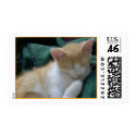 Sleeping kitty postage