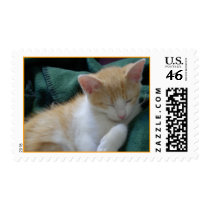 Sleeping kitty postage
