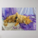 Sleeping Kitty Poster posters