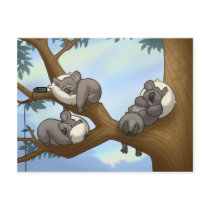 Sleeping Koala Postcard